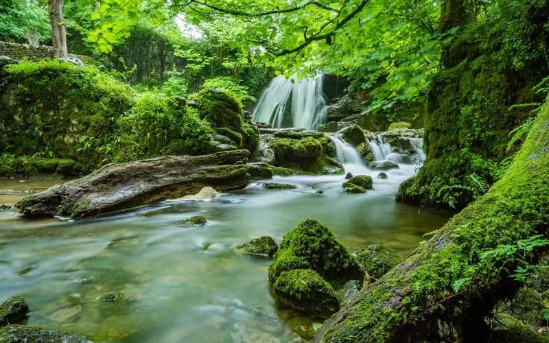 高性能高端可靠性